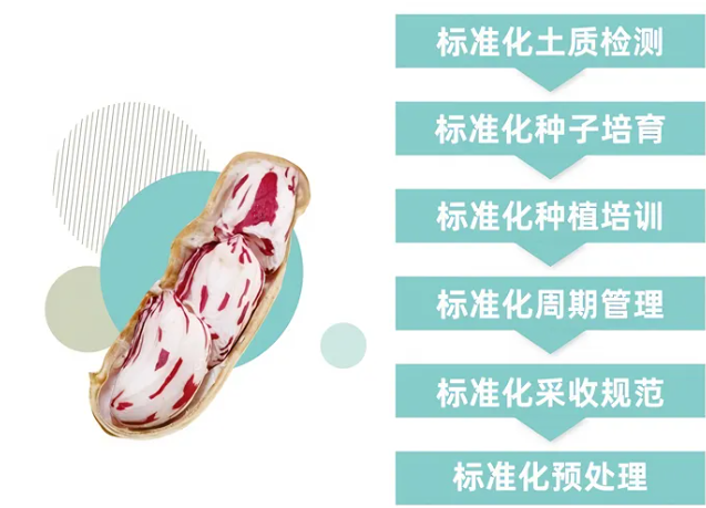 傣御農(nóng)業(yè)七彩花生登陸F2C廣州中食展，適配商超/餐飲/旅游/電商零售/企業(yè)團(tuán)購(gòu)！