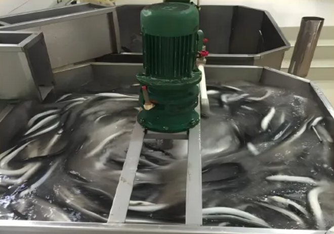 搶“鰻”品貨源！鰻魚(yú)皇后29年品質(zhì)鰻魚(yú)，賦能餐飲招牌菜、零售爆品就在9月F2C中食展