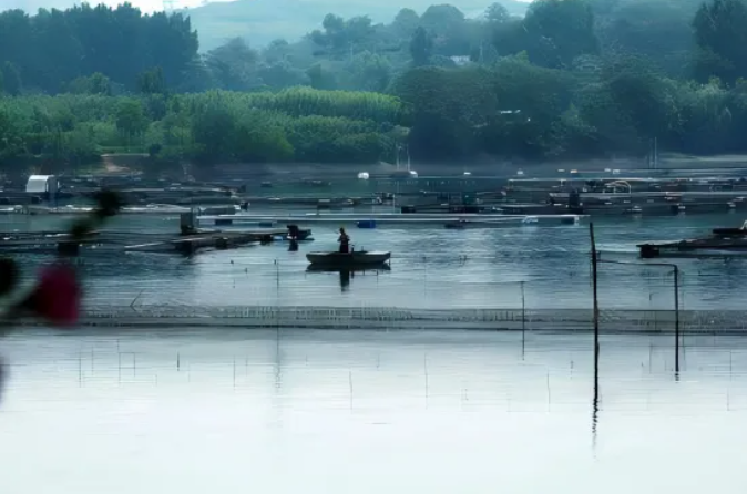 搶“鰻”品貨源！鰻魚(yú)皇后29年品質(zhì)鰻魚(yú)，賦能餐飲招牌菜、零售爆品就在9月F2C中食展