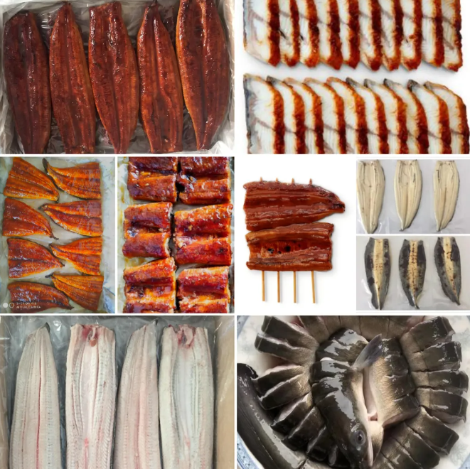 搶“鰻”品貨源！鰻魚(yú)皇后29年品質(zhì)鰻魚(yú)，賦能餐飲招牌菜、零售爆品就在9月F2C中食展