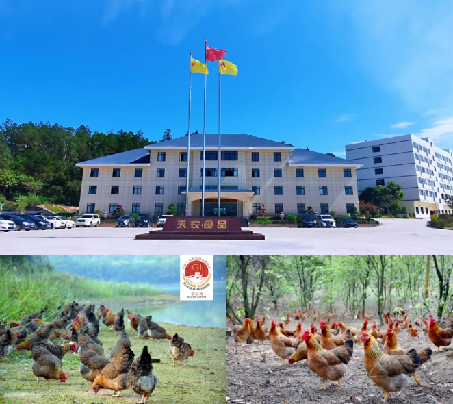 生態(tài)地標與匠心預制菜：清遠展團攜特色農(nóng)產(chǎn)閃耀F2C中食展廣州！